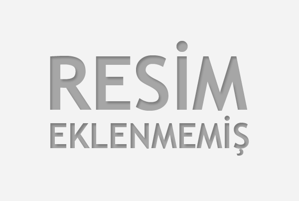 seslisiteler